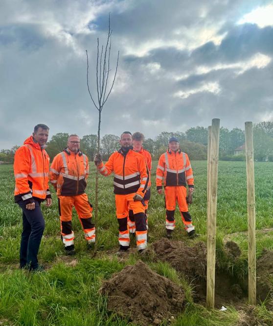 Neue Baumpflanzungen im Landkreis Grlitz strken Umweltschutz